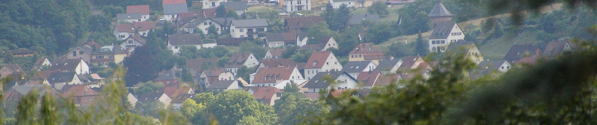 Percorso A piedi Klingenberg am Main - Schwarzer Keiler, Rundweg Röllfeld - Photo