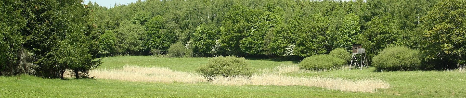 Tour Zu Fuß Südharz - Wanderweg 