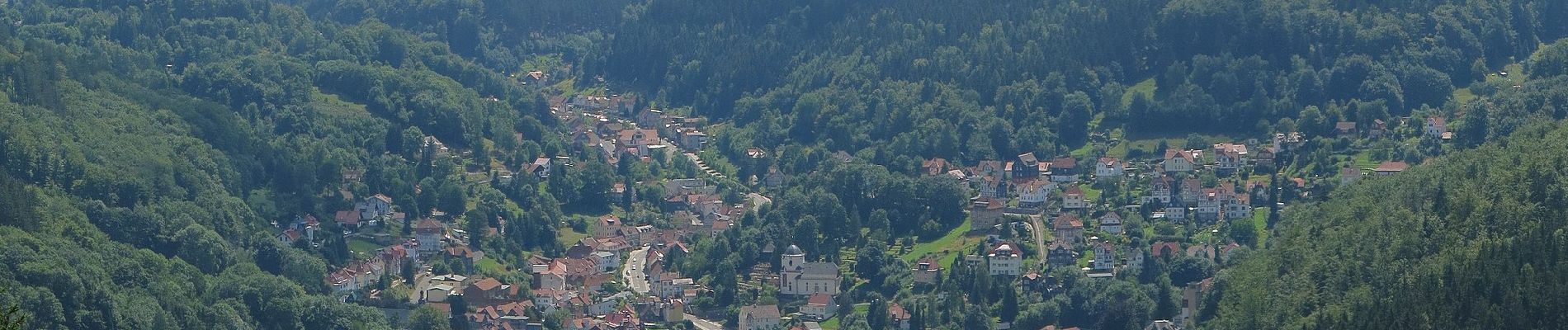 Percorso A piedi Bad Salzungen - Uhrenweg - Photo