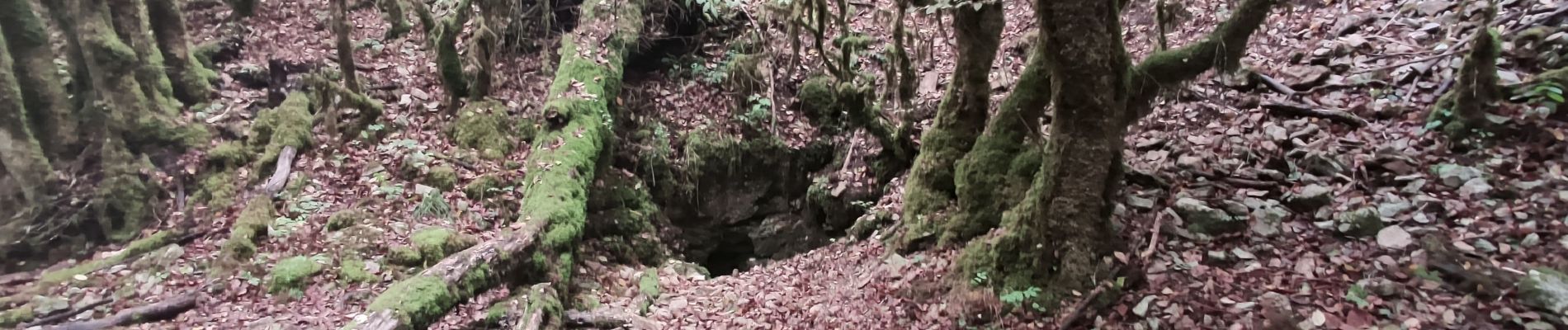 Point d'intérêt Pasques - Source-Combe-Vaux-de-Roche - Photo