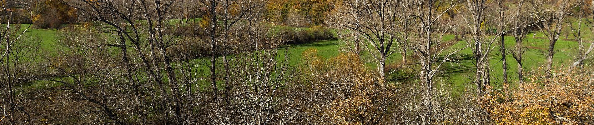 Tocht Te voet Matallana de Torío - Vía Verde Mina Bardaya - Photo