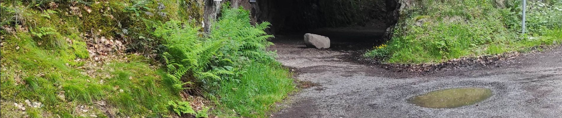 Tour Wandern Xonrupt-Longemer - retournemer hohnech schiesrothried blanchemer et lande  - Photo
