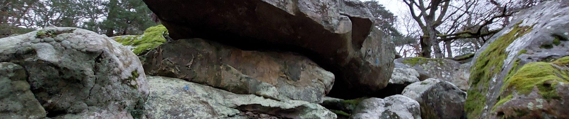 Point d'intérêt Fontainebleau - R - Bière de Biera - Photo