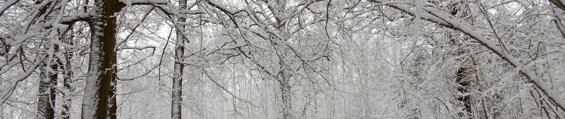 Randonnée V.T.T. Yvoir - GODINNE ... balade hivernale. - Photo