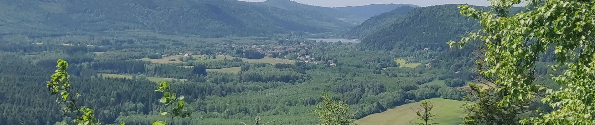 Percorso Marcia Allarmont - 2019-06-08 Marche Allarmont et ses rochers - Photo