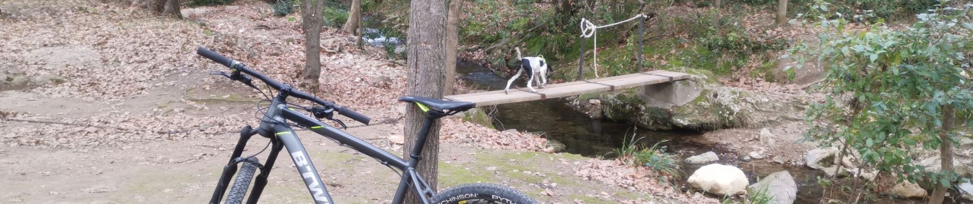 Tour Mountainbike Nébian - entre nebian et cabrieres - Photo