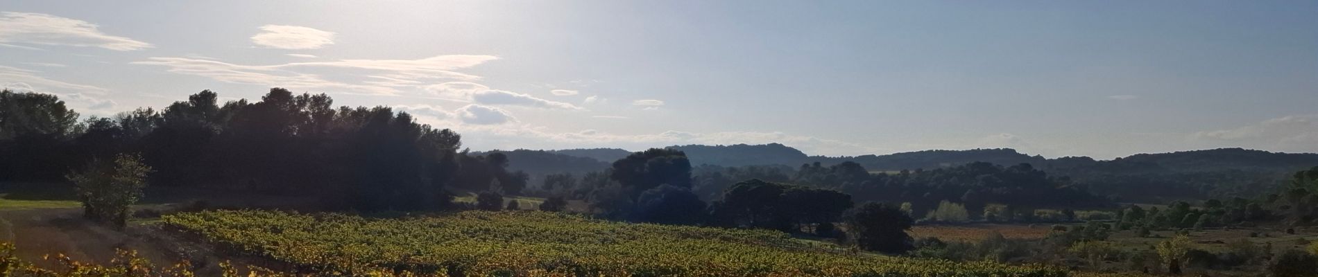 Randonnée Marche Laure-Minervois - Laure Minervois - Photo