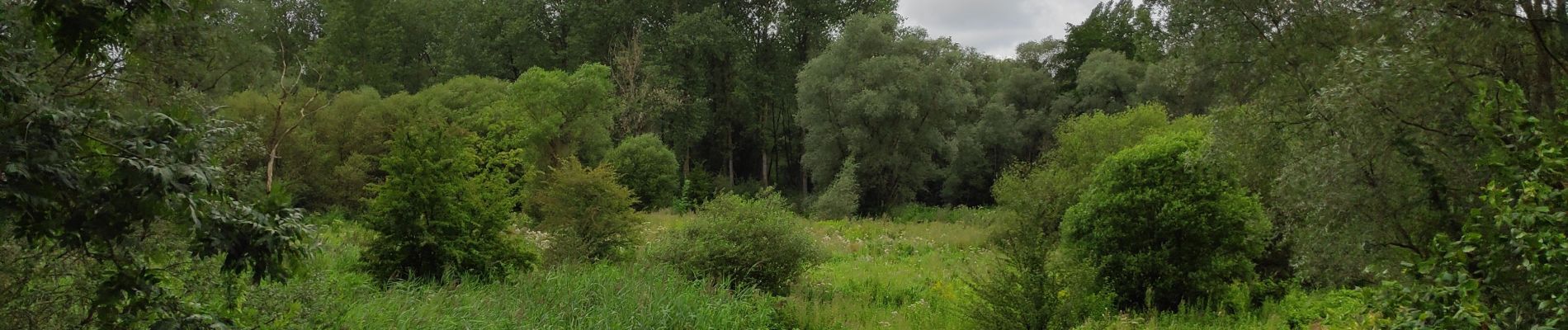 Randonnée Marche Huldenberg - Neerijse - Photo