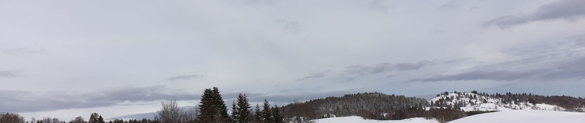 Randonnée Raquettes à neige La Pesse - la Pesse rando raquette neige  - Photo