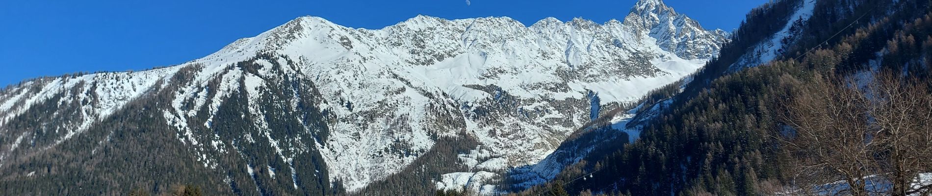 Tocht Sneeuwschoenen Chamonix-Mont-Blanc - Argentiere circuit 2 - Photo