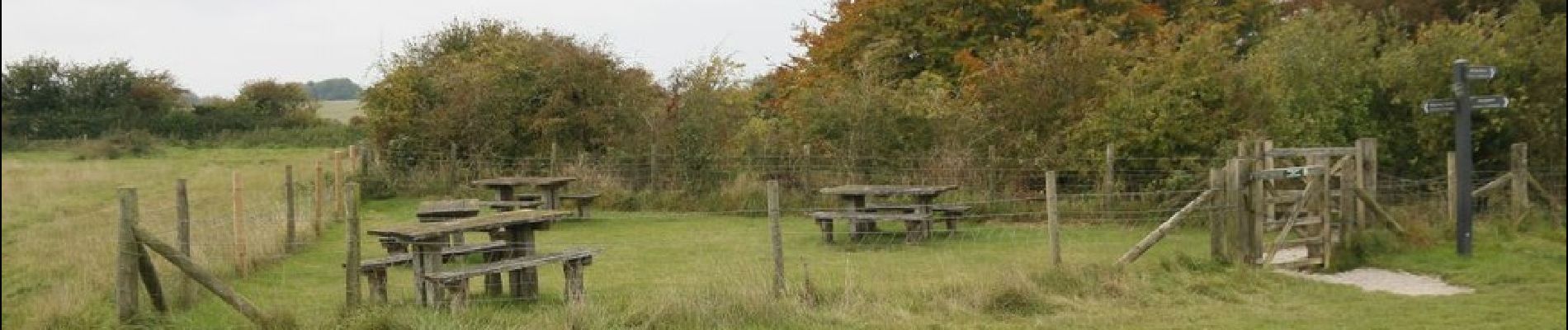 Randonnée A pied Vale of White Horse - White horse circular walk - Photo