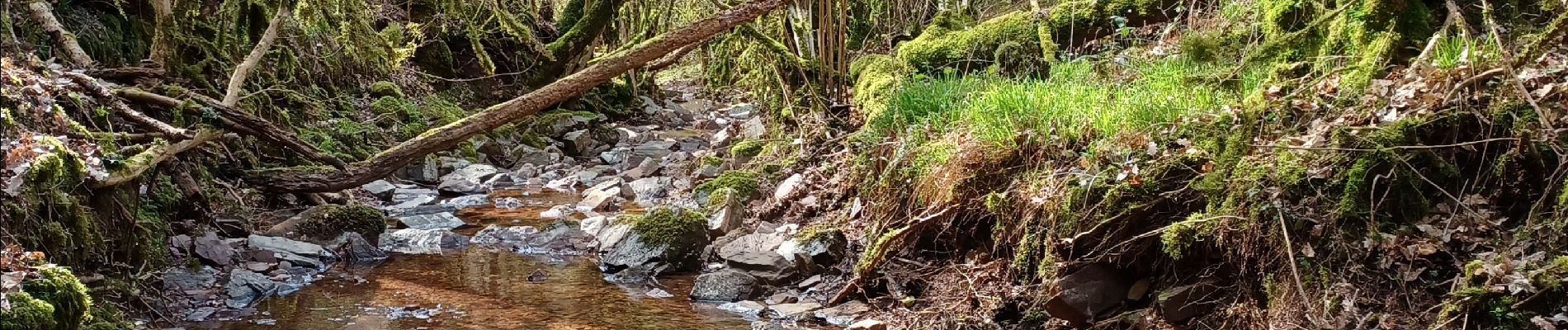 Trail Walking Montagnol - Le mazet trounas montagneol le mazet  - Photo