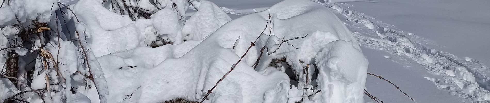 Excursión Raquetas de nieve La Pesse - L'Embossieux - Crêt de Nerbier  - Photo