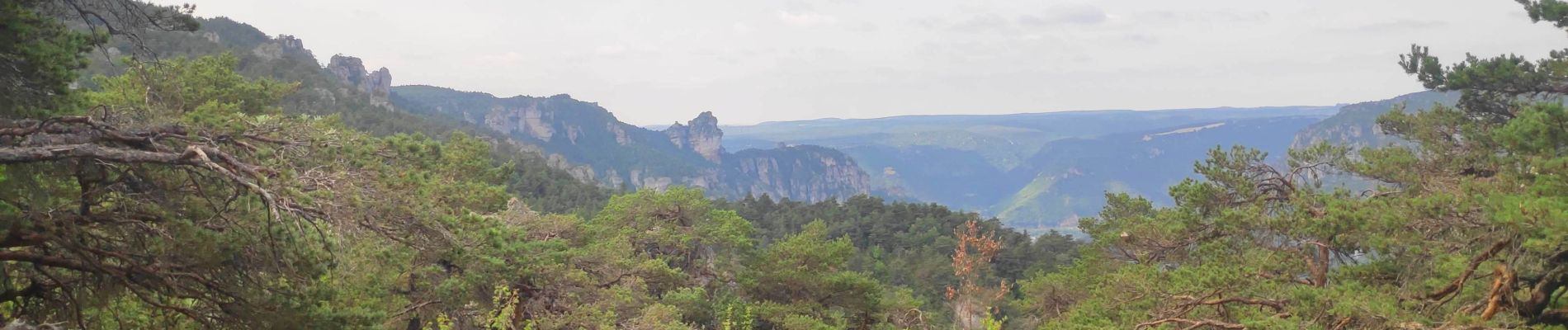 Percorso Marcia Massegros Causses Gorges - Baousse del fiel - Photo