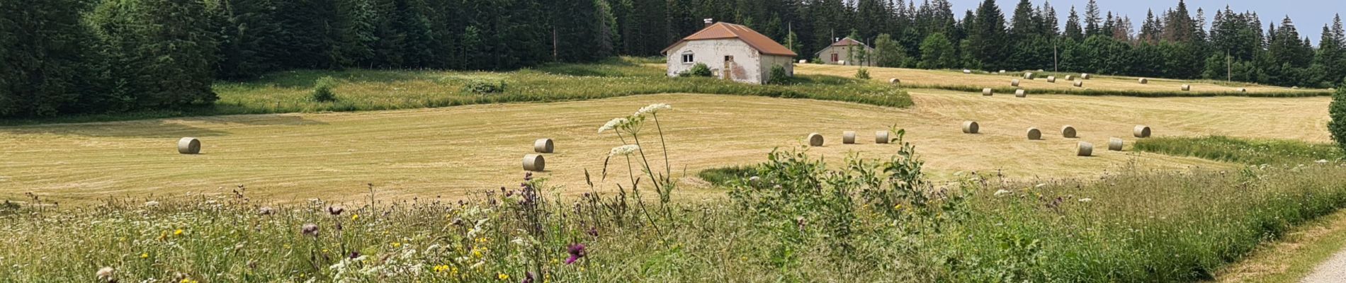 Tour Wandern Bellefontaine - lac de bellefontaine - Photo