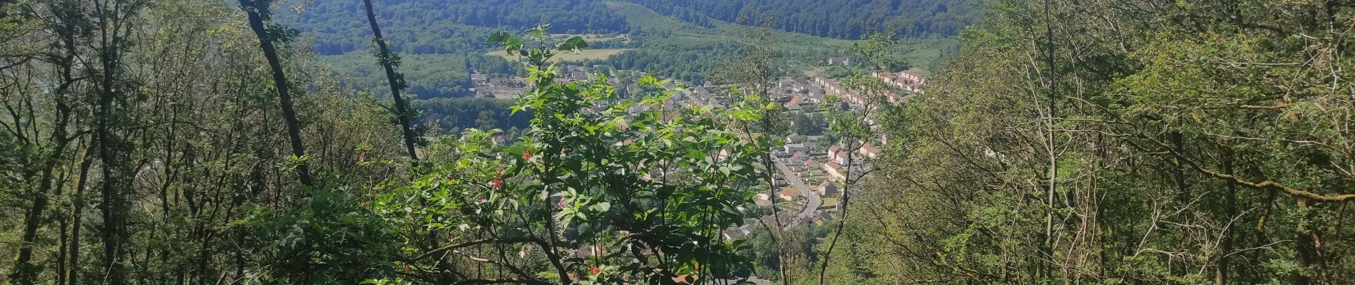 Tocht Stappen Nouzonville - Meiller - Hauteurs de Nouzonville - Photo