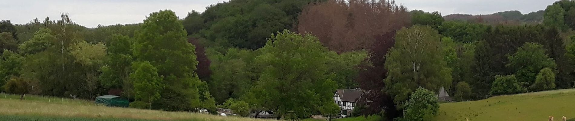 Tour Zu Fuß Bergisch Gladbach - Herrenstrunden Rundweg A2 - Photo