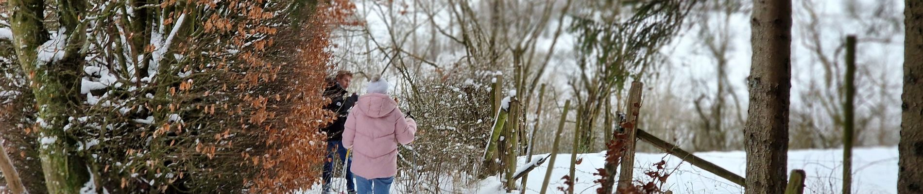 Excursión Raquetas de nieve Büllingen - Manderfeld (PVDB) - Photo