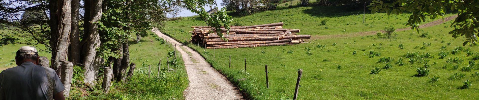 Tour Wandern Valserhône - le plateau de Retord - Photo