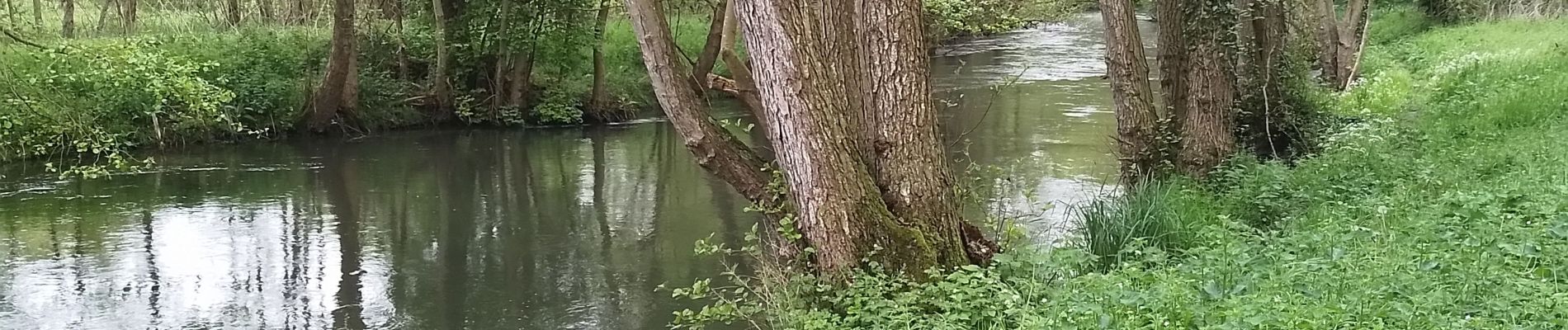 Excursión Senderismo Bouvaincourt-sur-Bresle - Bouvaincourt sur Bresle  - Photo