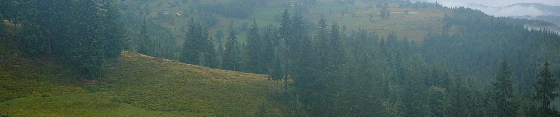 Trail On foot Unknown - sat Arieșeni - Peștera Ghețarul Scărișoara - Photo