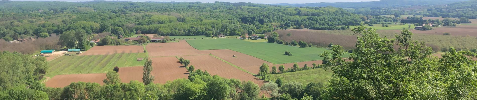 Tocht Mountainbike Alles-sur-Dordogne - Trémolat par Michel - Photo