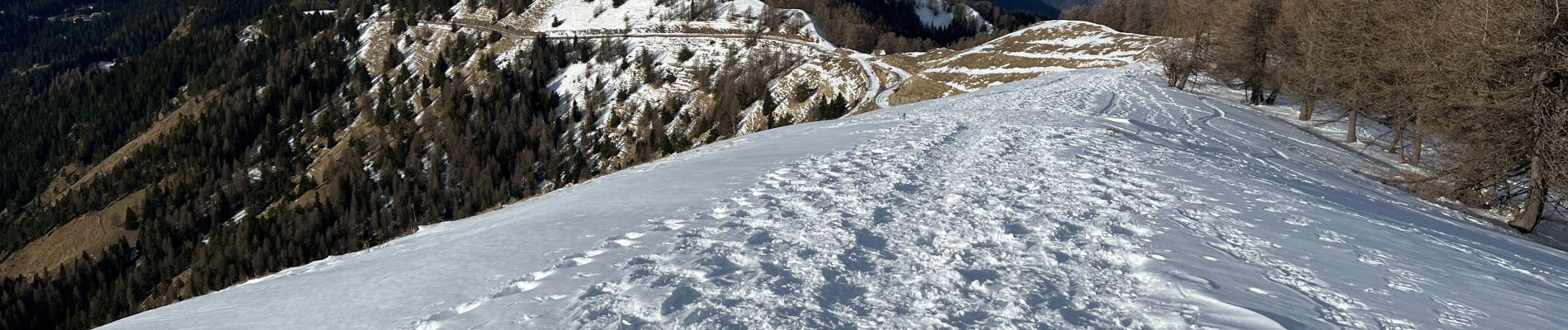 Tocht Sneeuwschoenen Moulinet - Baisse Cavaline - Photo