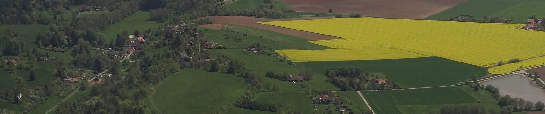 Tour Zu Fuß Radim - [Ž] Nová Paka - Újezdec - Photo