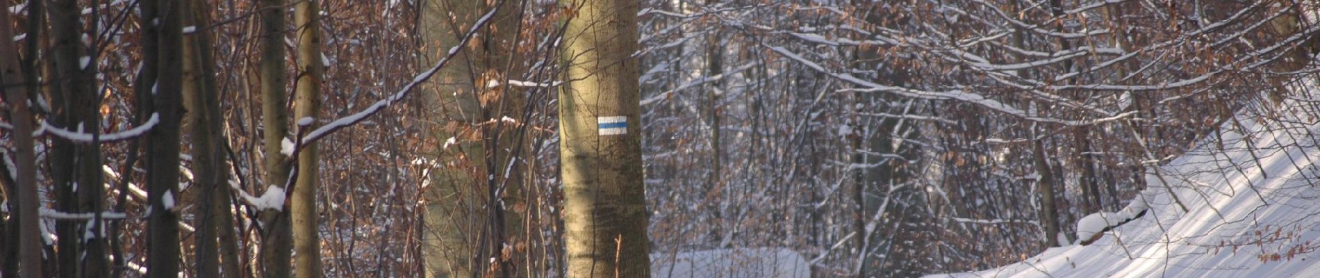 Percorso A piedi Sconosciuto - Szlak przez Słupi Głaz im. Wojciecha Lipniackiego - Photo