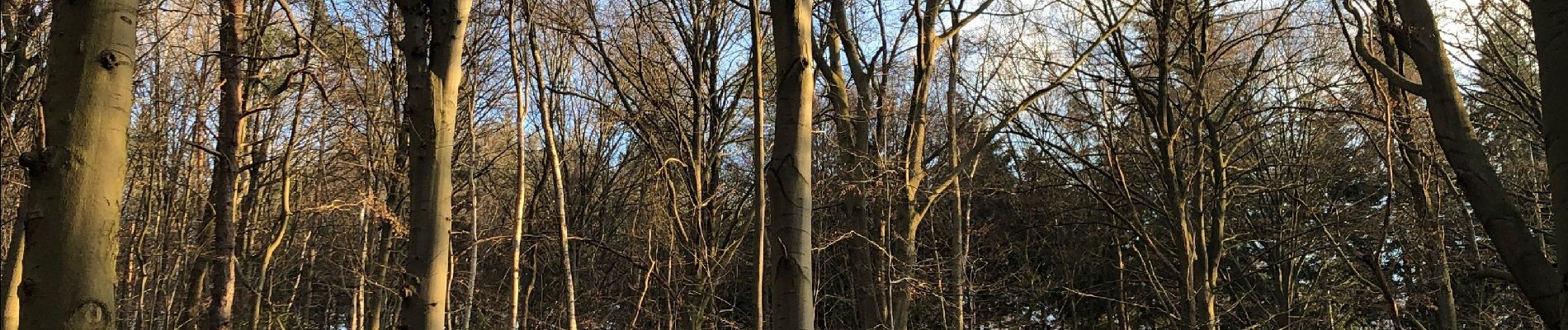 Randonnée Marche Huy - Bois de Tihange - Photo