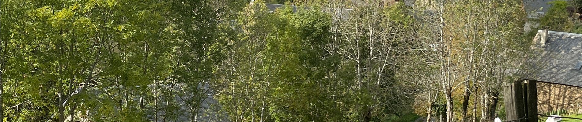 Tocht Stappen Cazaux-Fréchet-Anéran-Camors - Sentier des estimes - Photo