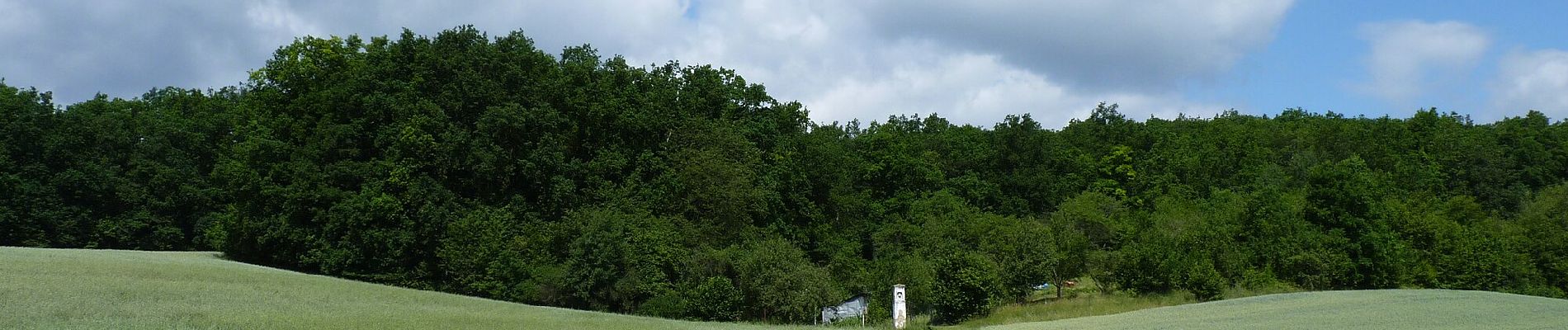 Percorso A piedi Čebín - Čebín - Zlobice - Photo