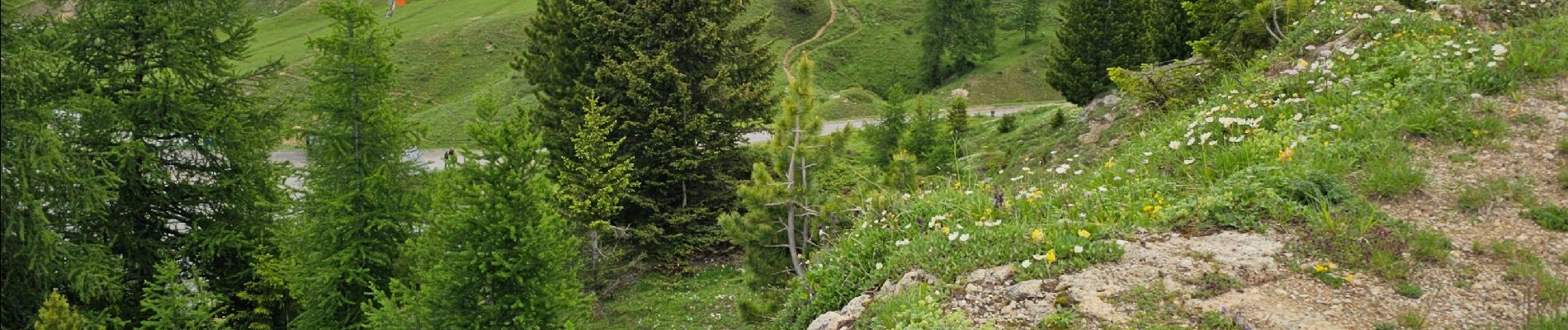 Percorso Marcia La Plagne-Tarentaise - Plagne Soleil, Dou du Praz, Plagne centre  - Photo