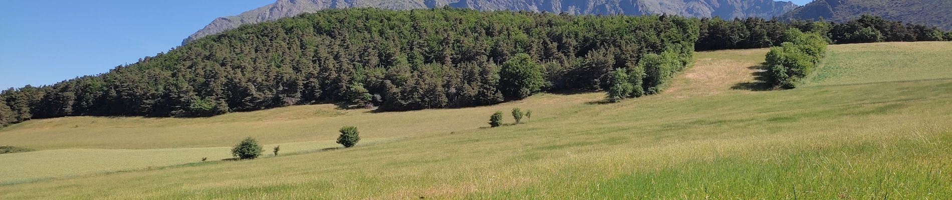 Tour Wandern La Motte-en-Champsaur - La Motte le Col de la Blache  - Photo