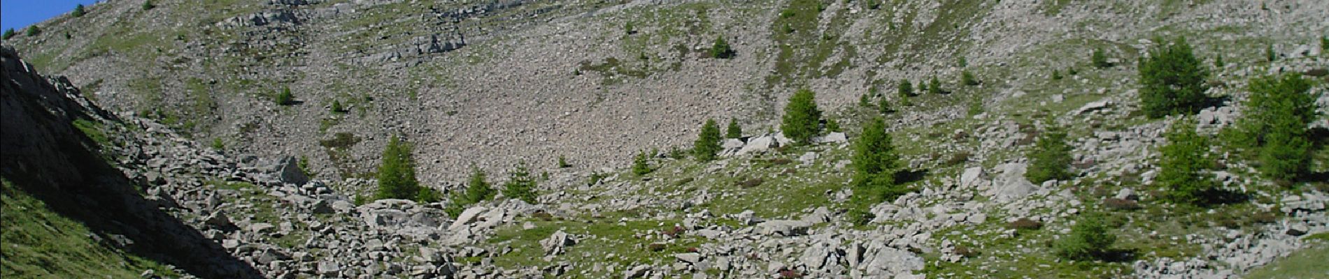 Trail Walking Villars-Colmars - sommet de Denjuan - Photo