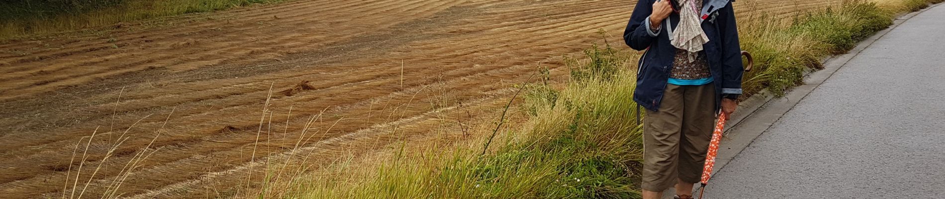 Randonnée Marche Morlanwelz - 2019-08-17 Carnières  21 km - Photo