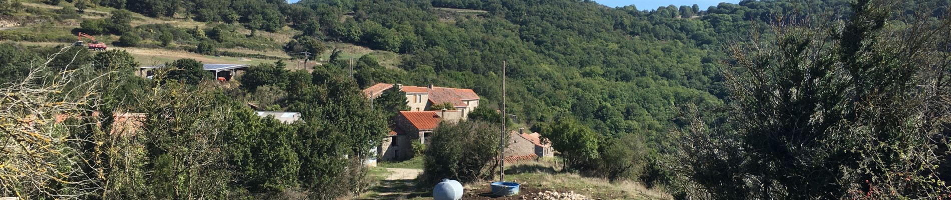 Trail Walking Joncels - Joncels - Circuit des Buis par Lunas - Photo