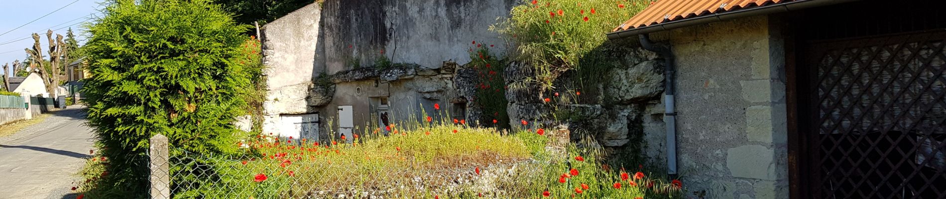 Percorso Marcia Parçay-Meslay - 2019.05.23-8.8km-Parçay Meslay le Sud - Photo