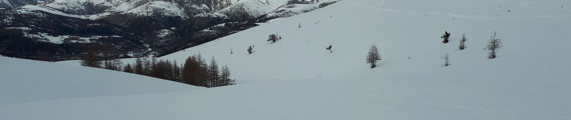 Trail Snowshoes Roubion - Col de  la Couillole à cime de Giarons - Photo