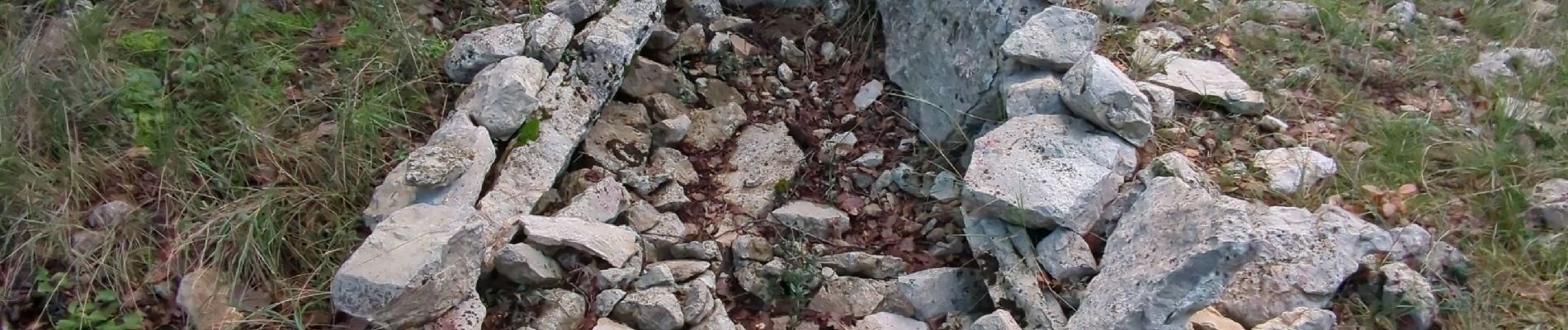 Randonnée Marche Ferrières-les-Verreries - mas baume asphodele - Photo