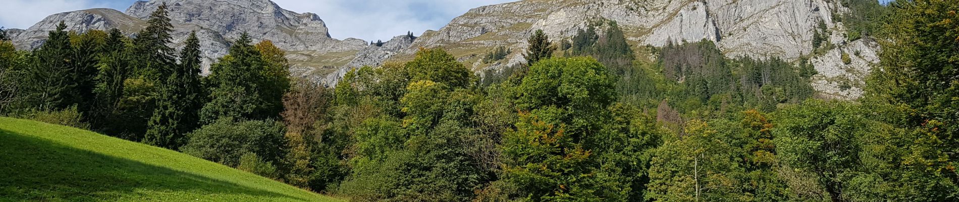 Tour Wandern Sallanches - arrête des Saix - Photo