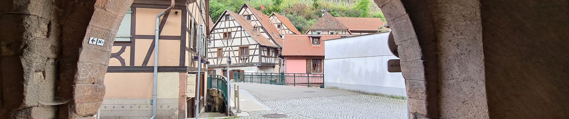 Tocht Stappen Andlau - 2022-09 Boucle Andlau - Château du Haut-Andlai - Château de Spesbourg - Photo