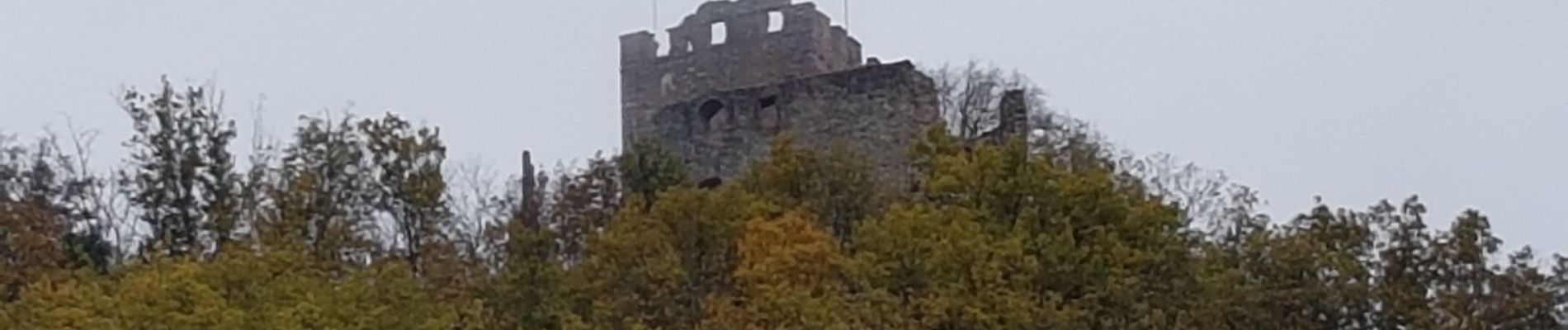 Randonnée Marche Waldkirch - Waldkirch - grande boucle des ruines du Schwanzenberg - Photo