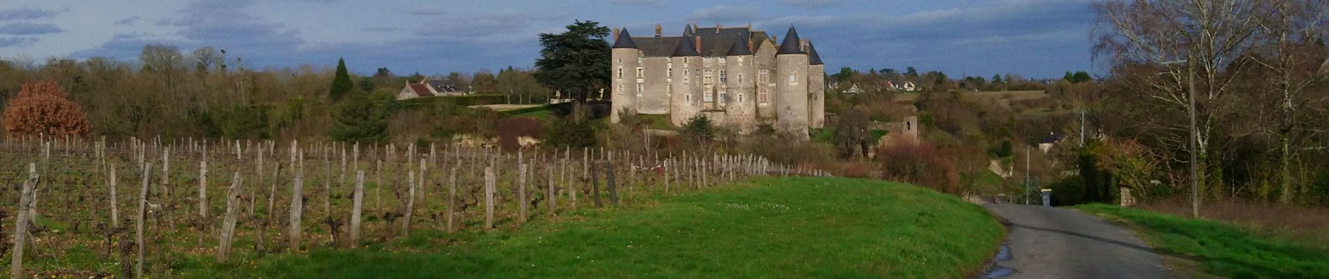 Excursión Senderismo Saint-Étienne-de-Chigny - Saint-Étienne-de-Chigny - le Vieux Bourg - Luynes - 15.8km 285m 3h30 - 2024 02 28 - Photo