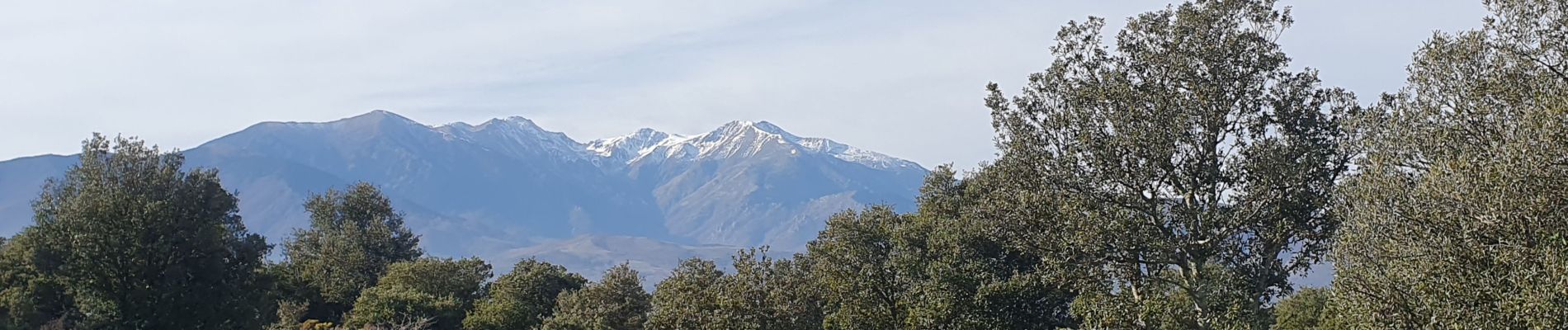 Tour Wandern Caixas - Fontcouverte Mont-Helena Chapelle Saint-Marc Boucle - Photo