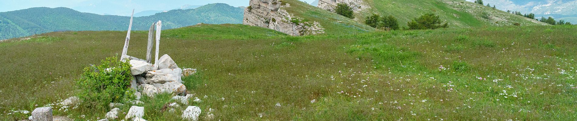 Tocht Stappen Le Castellard-Mélan - Geruen au départ du col de Fontbelle  - Photo