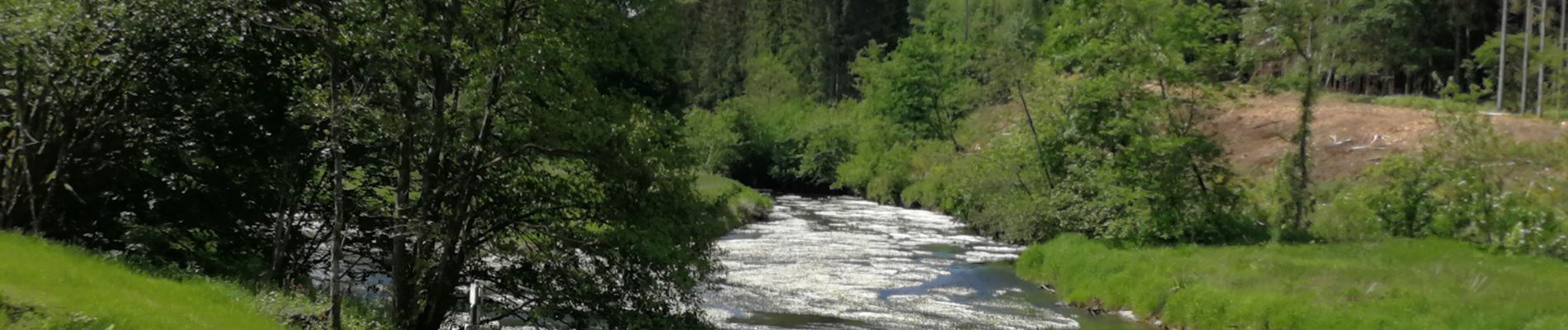 Trail Walking Chiny - Chiny - Photo