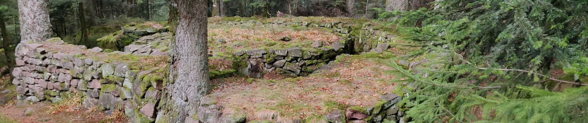 Randonnée Marche Saint-Dié-des-Vosges - 2019-03-07 Marche Montée des Schlitteurs - Photo