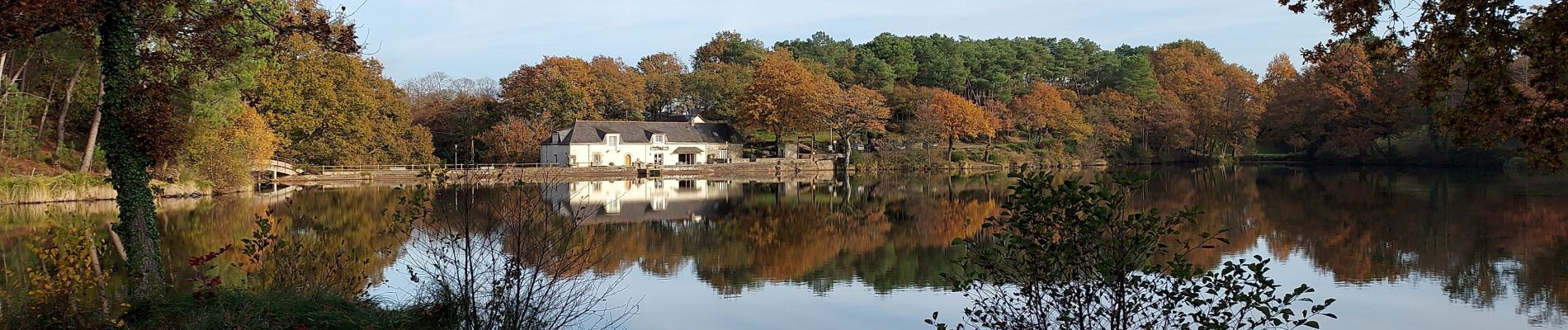 Excursión Senderismo Vay - la voie romaine etang de la roche - Photo