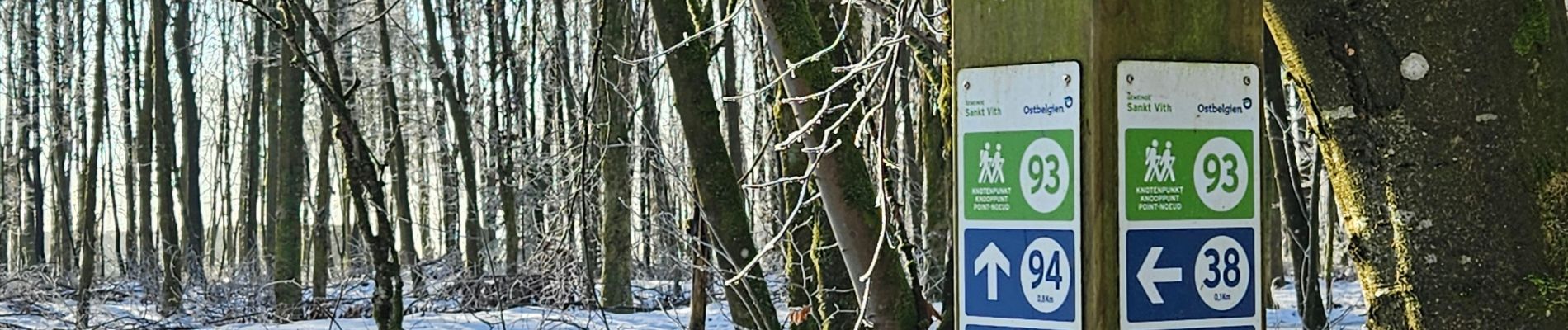 Excursión Senderismo Sankt Vith - Rodt - BierMuseum ❄️ - Photo